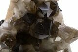 Dark Smoky Quartz Crystal Cluster on Metal Stand - Brazil #330460-1